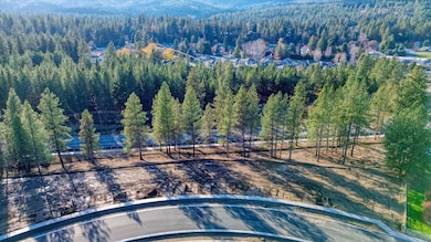 10802 E 36th Ave, Spokane Valley, WA 99206 - photo 4