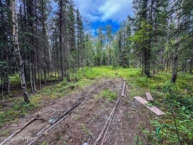 34224 Browns Lake Rd, Funny River, AK 99669 - photo 7