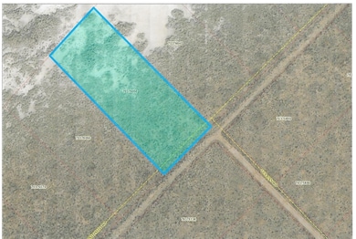 Antonito Rd, San Luis, CO 81152 - photo 3