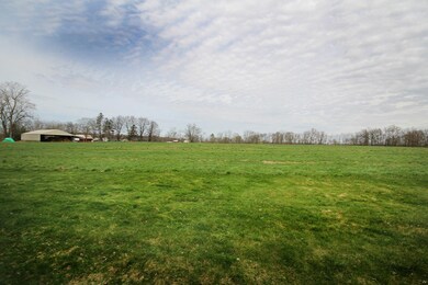 IMG_8247