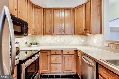 1309 Garden Wall Ct unit 801, Reston, VA 20194 - photo 3