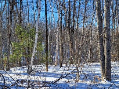 11 Symmes Dr, Newfield, ME 04095 - photo 4