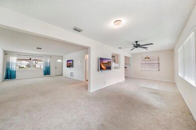 Neutral Carpet