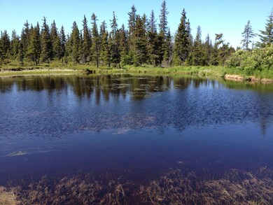 Pond