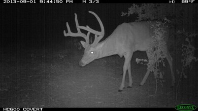 495 Arkansas Rd, Sadler, TX 76264 - photo 5