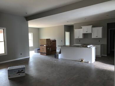 305 Parsley Rd, Ozark, MO 65721 - photo 4