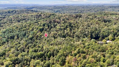 3-web-or-mls-DJI_20240913134858_0012_D -