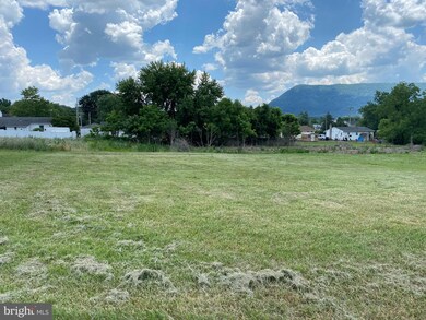 300 Stonewall St, Strasburg, VA 22657 - photo 4