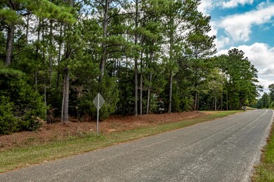 MCCORMICK LAND - SERPENTINE ©-0120