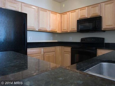 4561 Strutfield Ln unit 3407, Alexandria, VA 22311 - photo 4