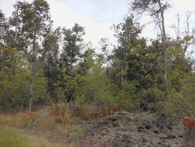 0 Paradise Pkwy unit 258144, Ocean View, HI 96737 - photo 7