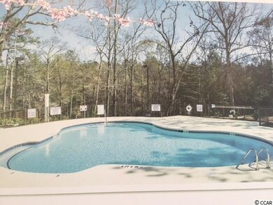 334 Dunbarton Ln, Conway, SC 29526 - photo 6