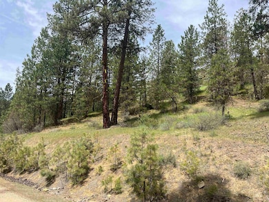 TBD Napias Lot 21, Boise, ID 83716 - photo 6