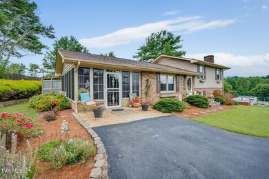 117 Morgan Ln, Fall Branch, TN 37656 - photo 2