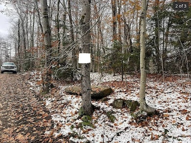 1 Palisades, Webb, NY 13420 - photo 6