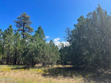 2899 Lejo Rd.