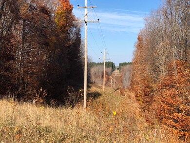 Electrical easement