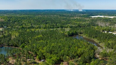 0 Highway 82, Sylvester, GA 31791 - photo 4