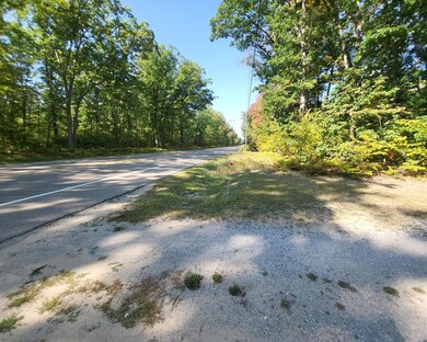 4628 W Marl Lake Rd, Roscommon, MI 48653 - photo 6
