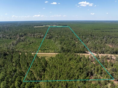 0 Beehive Loop, Singer, LA - photo 6