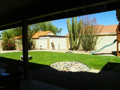 nice backyard