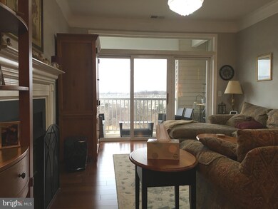 2520 Waterside Dr unit 402, Frederick, MD 21701 - photo 4