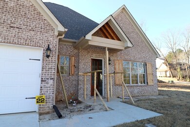 406 Elizabeth Ct, Oxford, MS 38655 - photo 2