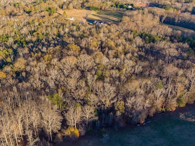 0 Marshall Tucker Rd, Pauline, SC 29374 - photo 7