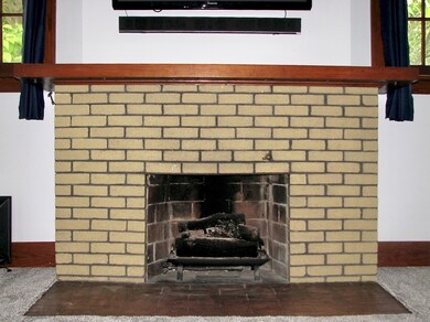 107 E Pinzon St, Tuscola, IL 61953 - photo 5