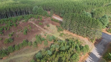 ON Forest Rd unit 1.9 ac, Tomahawk, WI 54487 - photo 4