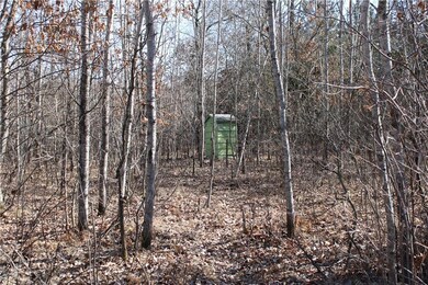 28662 N River Rd, Danbury, WI 54830 - photo 3