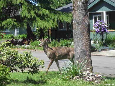530 SE Mayberry Ave, Corvallis, OR 97333 - photo 2