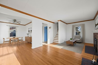 543 Columbia Ave, Des Plaines, IL 60016 - photo 3