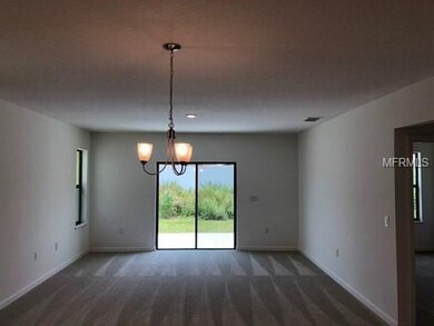 10513 Massimo Dr, Wimauma, FL 33598 - photo 4