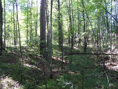 W8092 Cth O, Tomahawk, WI 54487 - photo 5