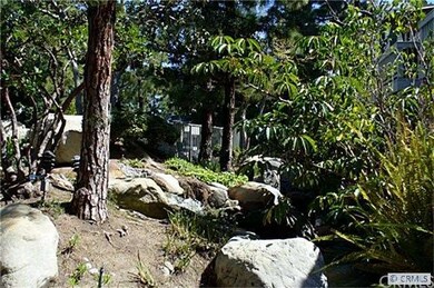 BEAUTIFUL GROUNDS WITH GURGLING STREAMS