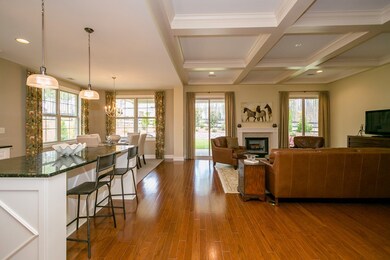 Living Room and Kitchen