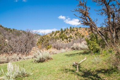 0 Tbd Highway 13 unit 25806397, Rifle, CO 81650 - photo 6