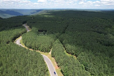 3-web-or-mls-DJI_0301