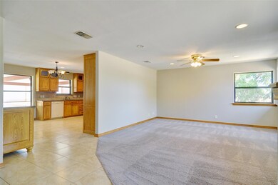 360 Sandlin Ln, Springtown, TX 76082 - photo 7
