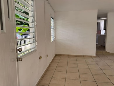 140 Ramon Torres, Florida, PR 00650 - photo 6