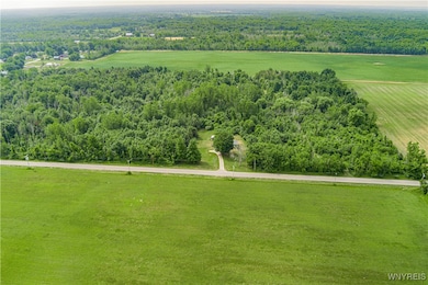 V/L Coleman Rd, Somerset, NY 14012 - photo 3