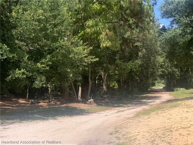 2326 W Barben Rd, Avon Park, FL 33825 - photo 4