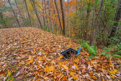 Lot 24 Rivers Edge Trail, Franklin, NC 28734 - photo 4
