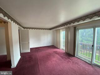 2308 Sun Valley Cir unit 1C, Silver Spring, MD 20906 - photo 3