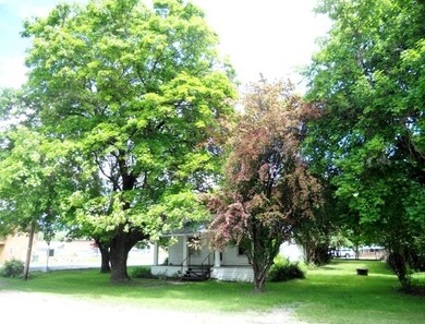 A small forest of trees