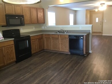 25018 Longbranch Run, San Antonio, TX 78261 - photo 4