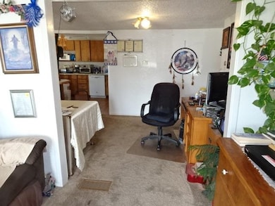 1874 Highway 6&50, Fruita, CO 81521 - photo 2