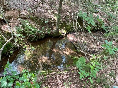 0 County Road 329 unit 9 21364080, Wedowee, AL 36278 - photo 2