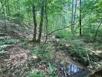 0 N Jenkins Bridge Rd unit 20288386, Westminster, SC 29693 - photo 6